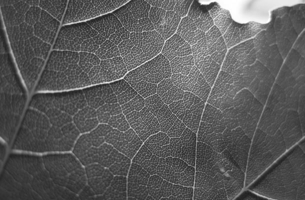 Am besten klappt’s, wenn ich nicht mitmache